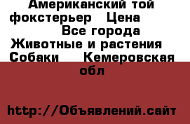 Американский той фокстерьер › Цена ­ 25 000 - Все города Животные и растения » Собаки   . Кемеровская обл.